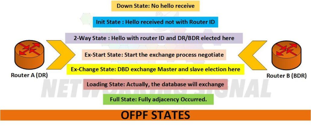 OSPF States of Open Shortest Path First with Basic Guide