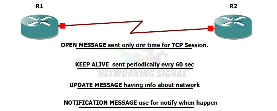 bgp message type