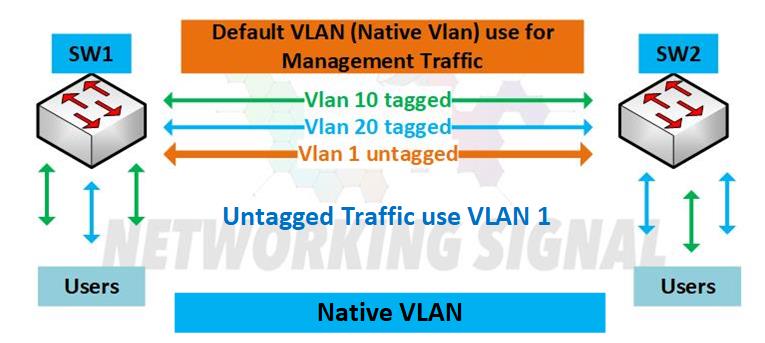 What Is Native VLAN And How To Configure It 