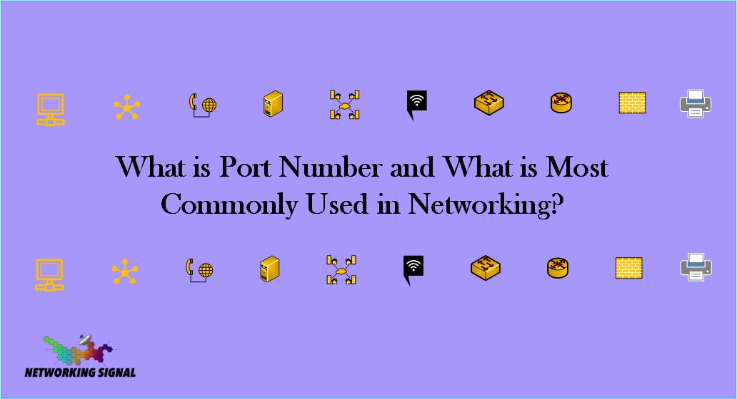 What is Port Number and What is Most Commonly Used in Networking