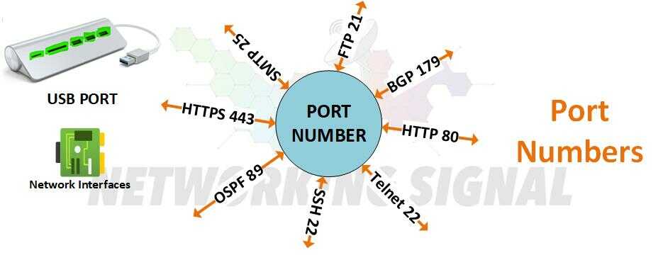 What Is Port Number And What Is Most Commonly Used In Networking 