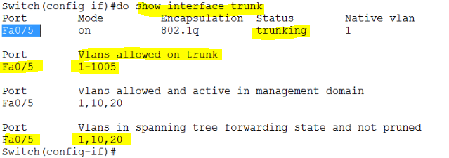 show-trunk-port_optimized